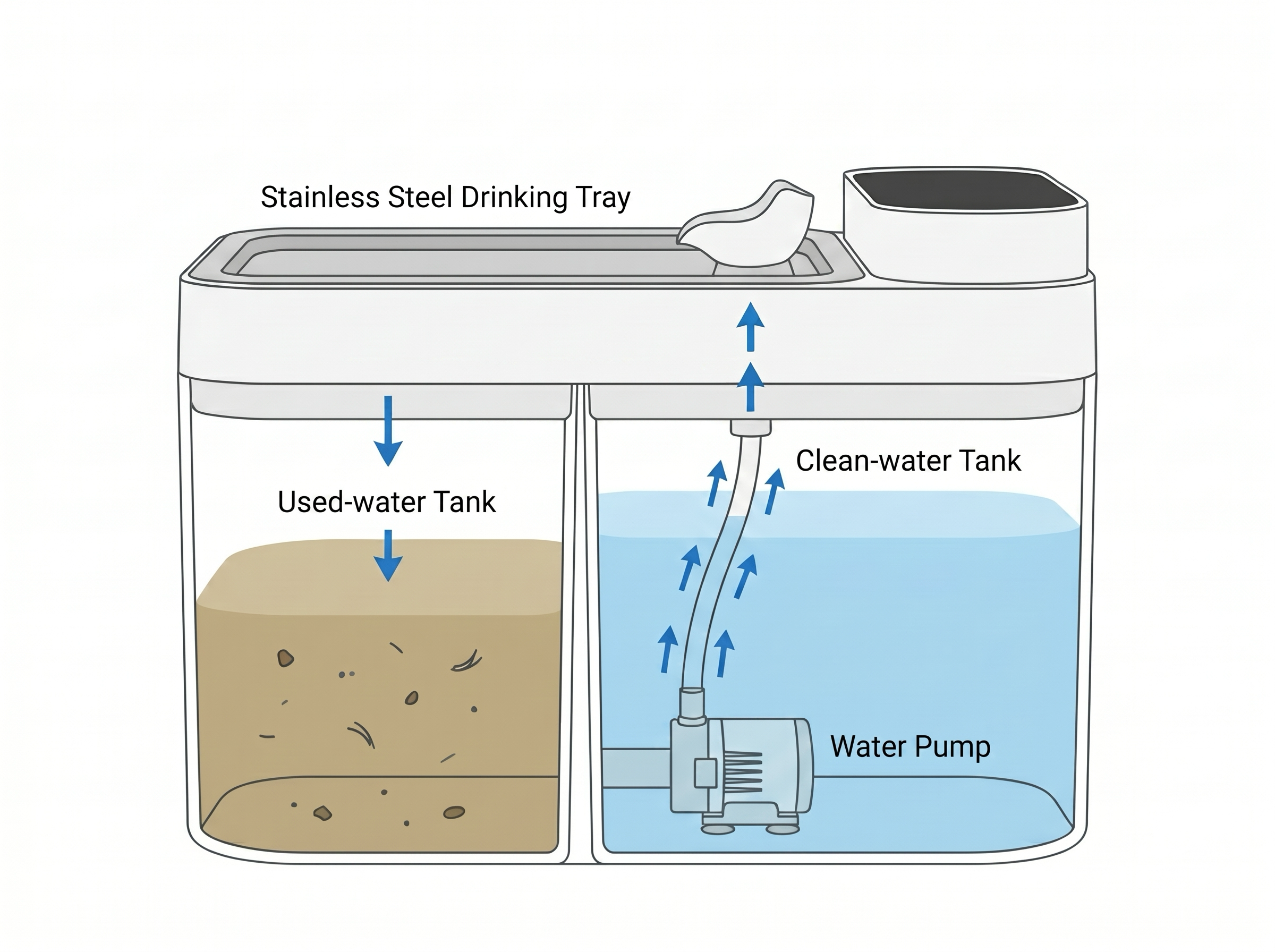 Cutaway diagram of the HydroPurr dual-chamber cat fountain, matching the real product: a clean-water tank on the right filled with blue water with the water pump inside it, and a separate sealed used-water tank on the left holding murky brown water with fur and crumbs. A stainless steel drinking tray runs across the top. Blue arrows show clean water pumped up from the pump to the tray, then draining one-way down into the used-water tank — it never returns to the pump.